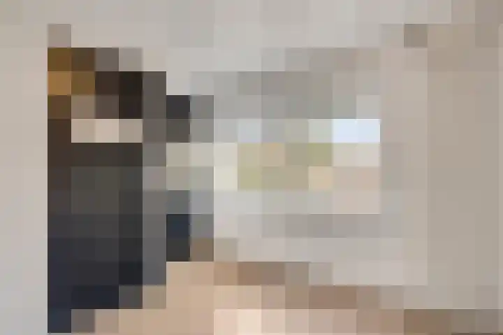 Molenweg 34 Linne thumbnail 19