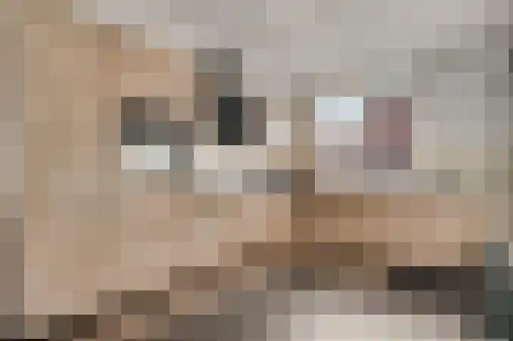 Molenweg 34 Linne thumbnail 9