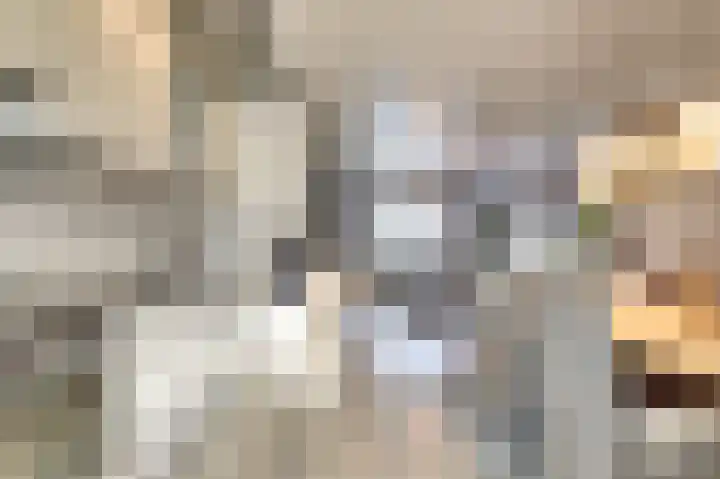 Molenweg 34 Monster thumbnail 11