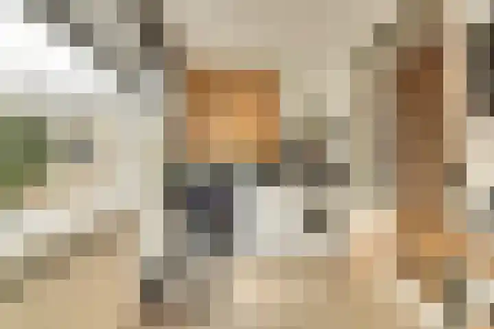 Molenweg 34 Monster thumbnail 13