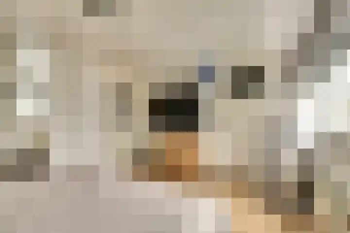 Molenweg 34 Monster thumbnail 16