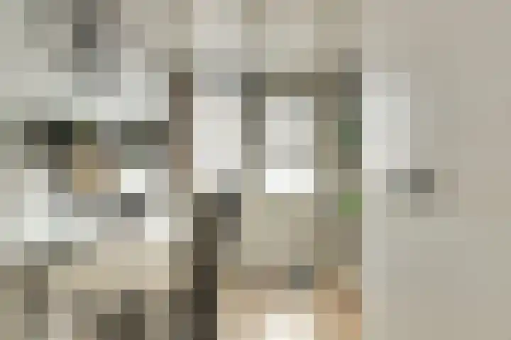Molenweg 34 Monster thumbnail 19
