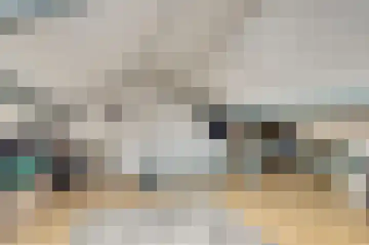 Molenweg 34 Monster thumbnail 24