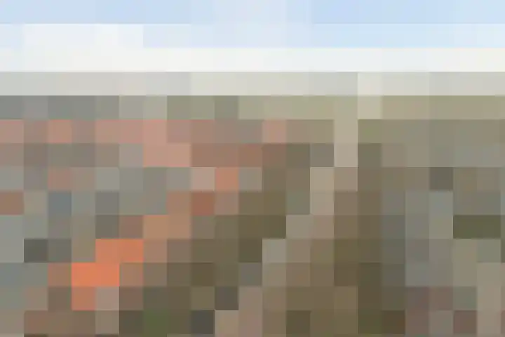 Molenweg 34 Monster thumbnail 33