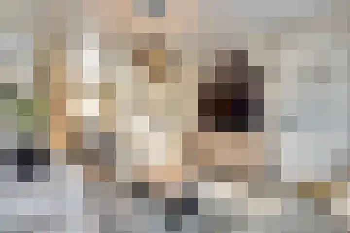 Molenweg 34 Monster thumbnail 6