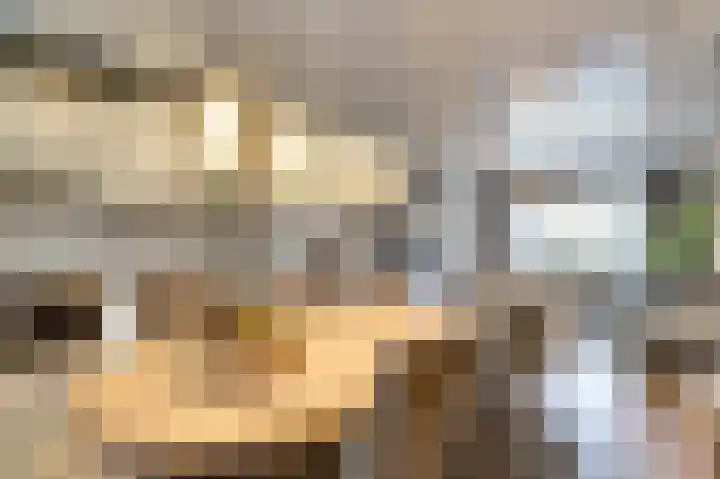 Molenweg 34 Monster thumbnail 9