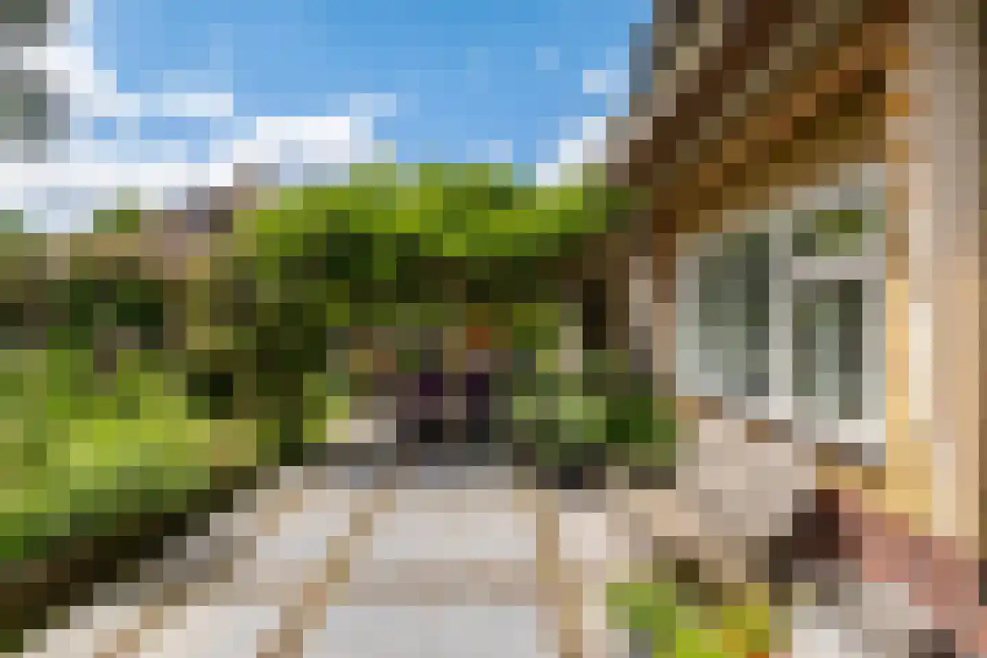 Molenweg 35 Haren Gn thumbnail 11