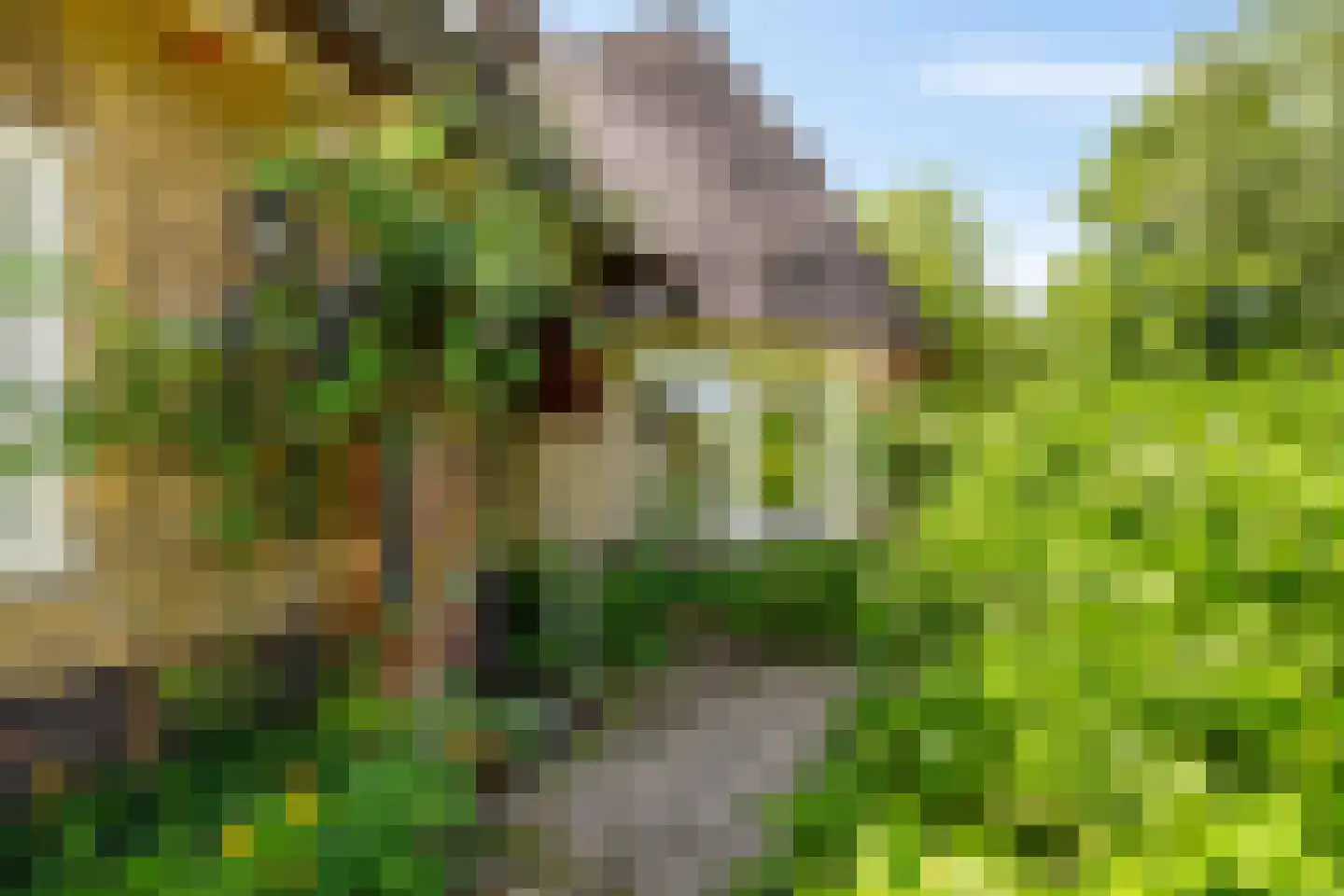 Molenweg 35 Haren Gn thumbnail 4