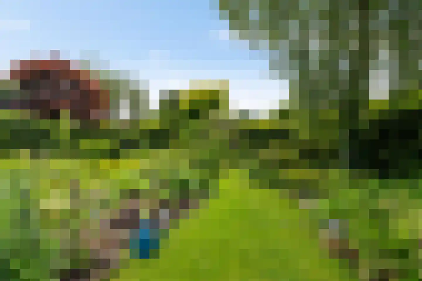 Molenweg 35 Haren Gn thumbnail 9
