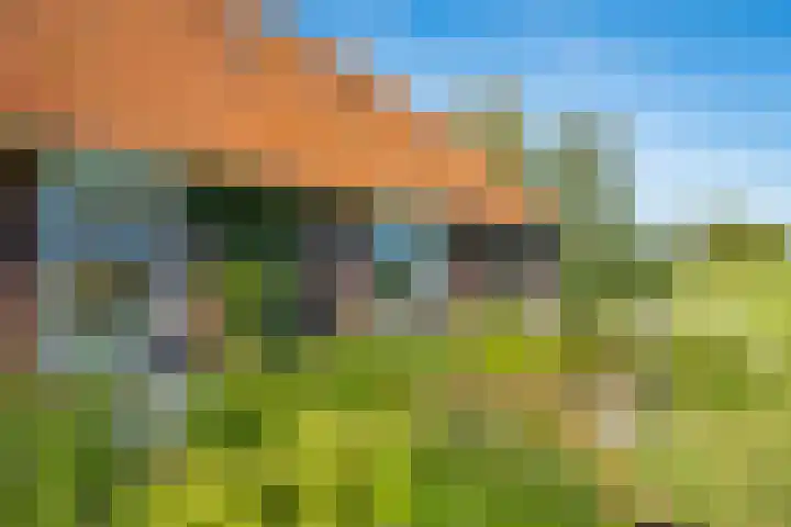 Molenweg 35 Heelweg thumbnail 12
