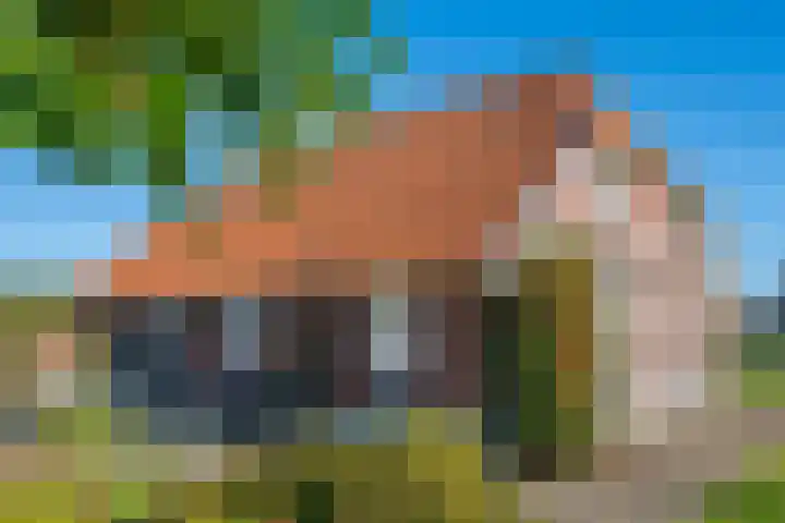 Molenweg 35 Heelweg thumbnail 13