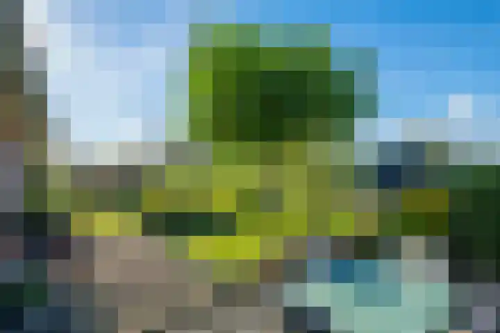 Molenweg 35 Heelweg thumbnail 15