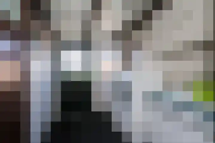 Molenweg 35 Heelweg thumbnail 16