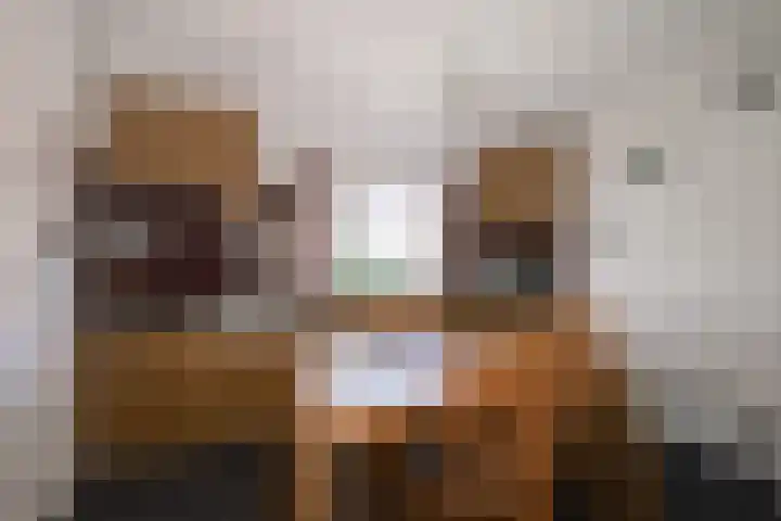 Molenweg 35 Heelweg thumbnail 23
