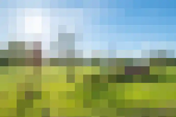 Molenweg 35 Heelweg thumbnail 38