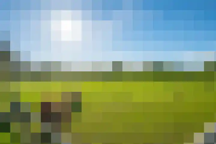 Molenweg 35 Heelweg thumbnail 40