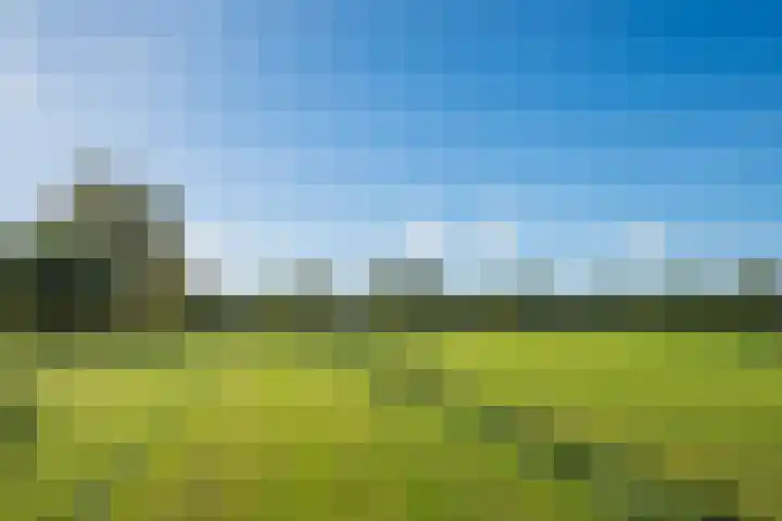 Molenweg 35 Heelweg thumbnail 41