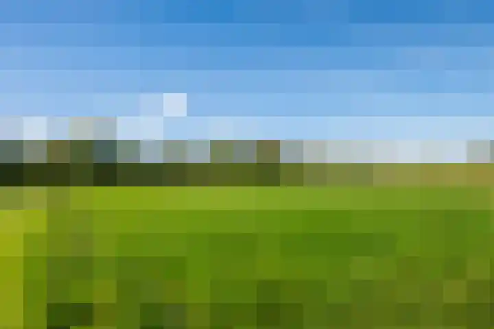 Molenweg 35 Heelweg thumbnail 42