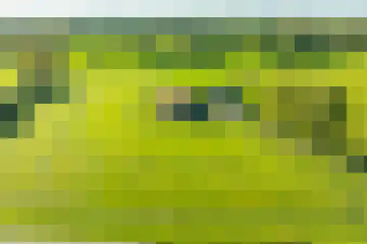 Molenweg 35 Heelweg thumbnail 49