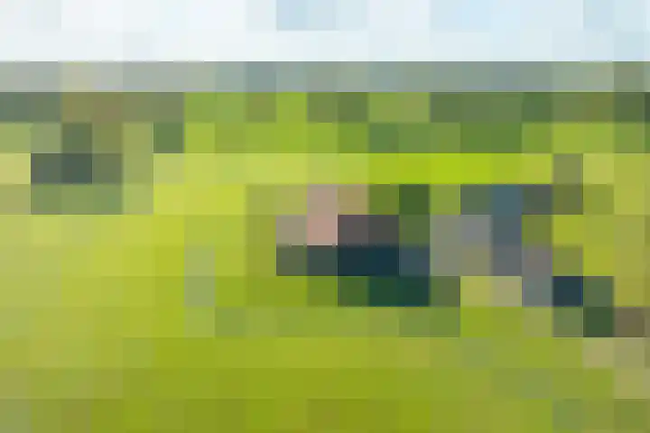 Molenweg 35 Heelweg thumbnail 5