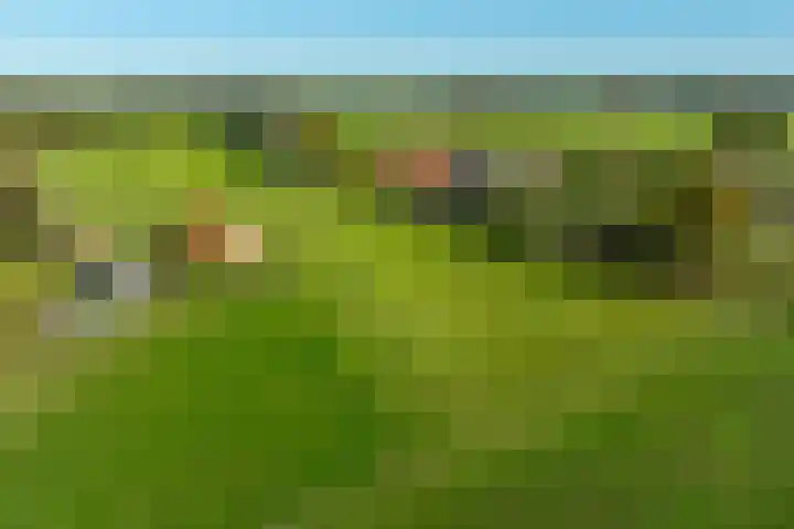 Molenweg 35 Heelweg thumbnail 51
