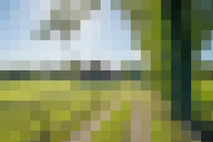 Molenweg 35 Heelweg thumbnail 53