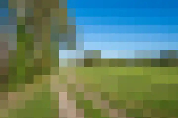 Molenweg 35 Heelweg thumbnail 54