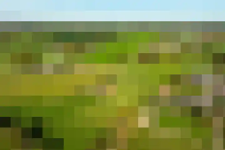 Molenweg 35 Heelweg thumbnail 6