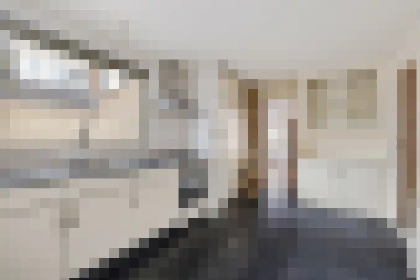 Molenweg 35 Nieuwehorne thumbnail 10