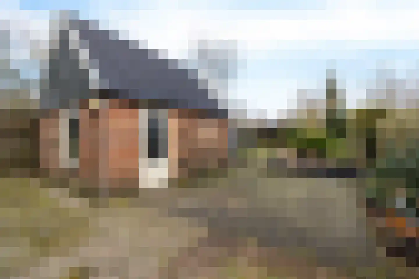 Molenweg 35 Nieuwehorne thumbnail 28