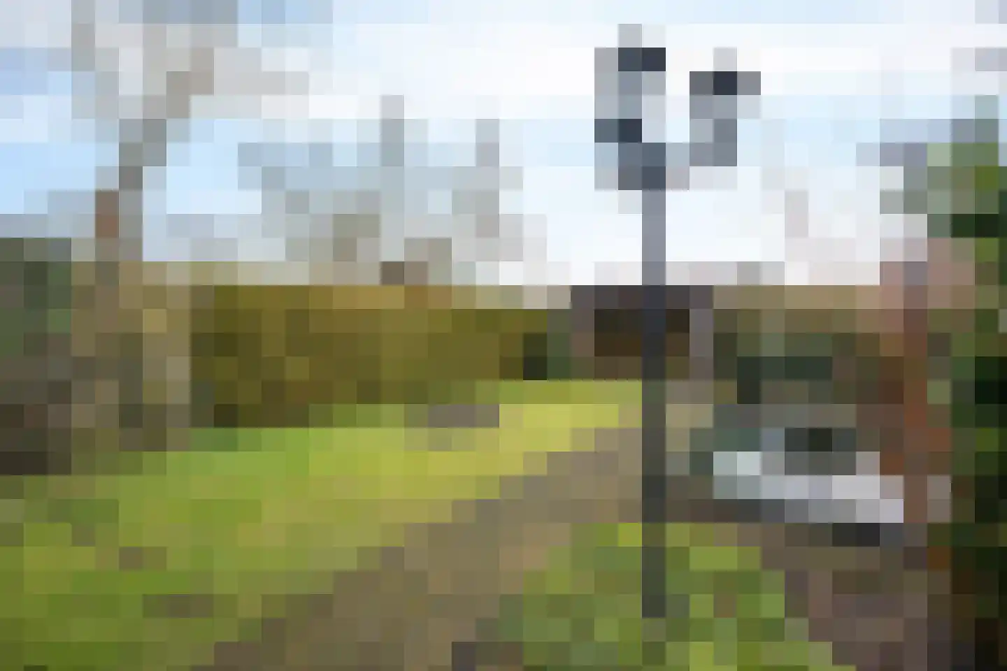 Molenweg 35 Nieuwehorne thumbnail 29