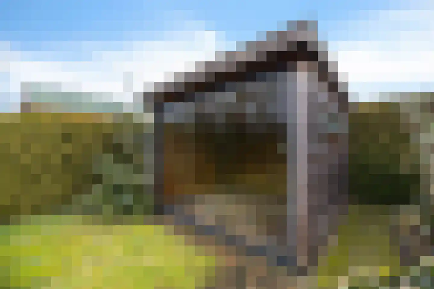 Molenweg 35 Nieuwehorne thumbnail 30