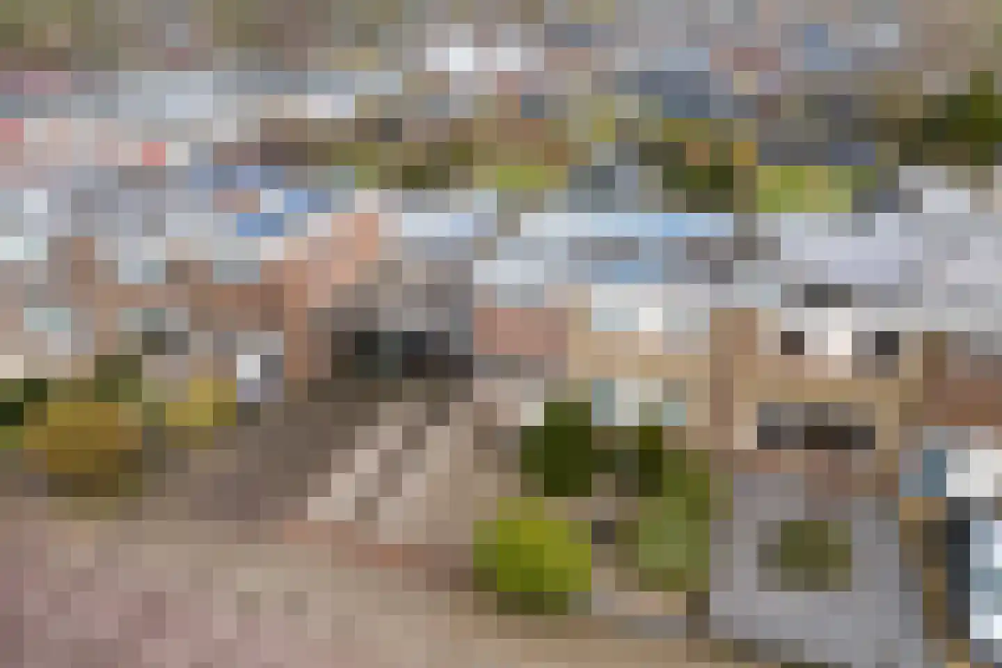 Molenweg 35 Nieuwehorne thumbnail 36