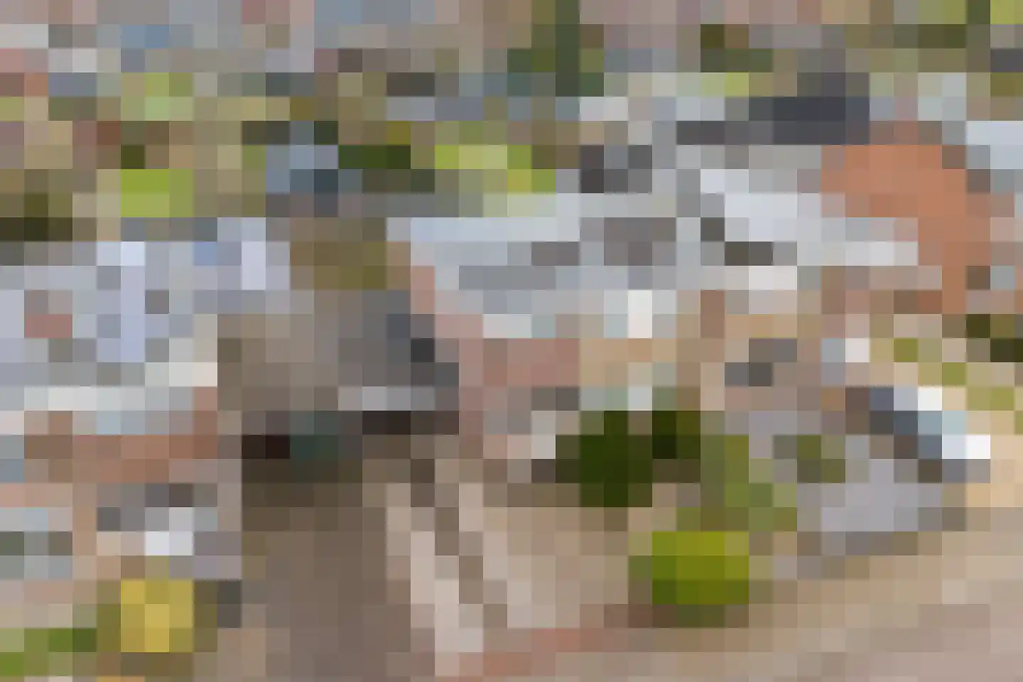 Molenweg 35 Nieuwehorne thumbnail 38