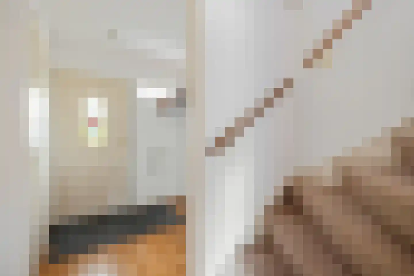 Molenweg 35 Nieuwehorne thumbnail 4