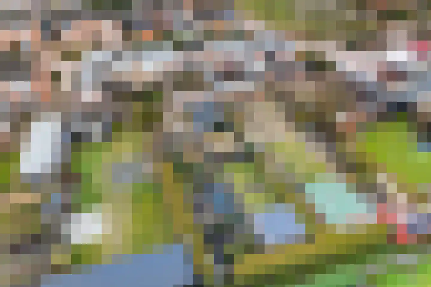 Molenweg 35 Nieuwehorne thumbnail 40