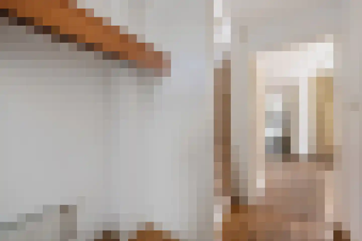 Molenweg 35 Nieuwehorne thumbnail 5
