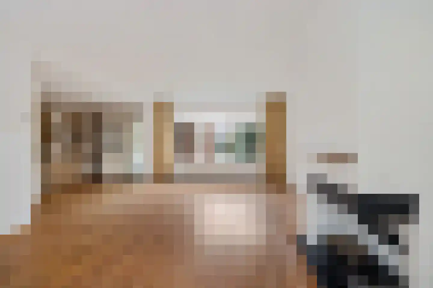 Molenweg 35 Nieuwehorne thumbnail 7