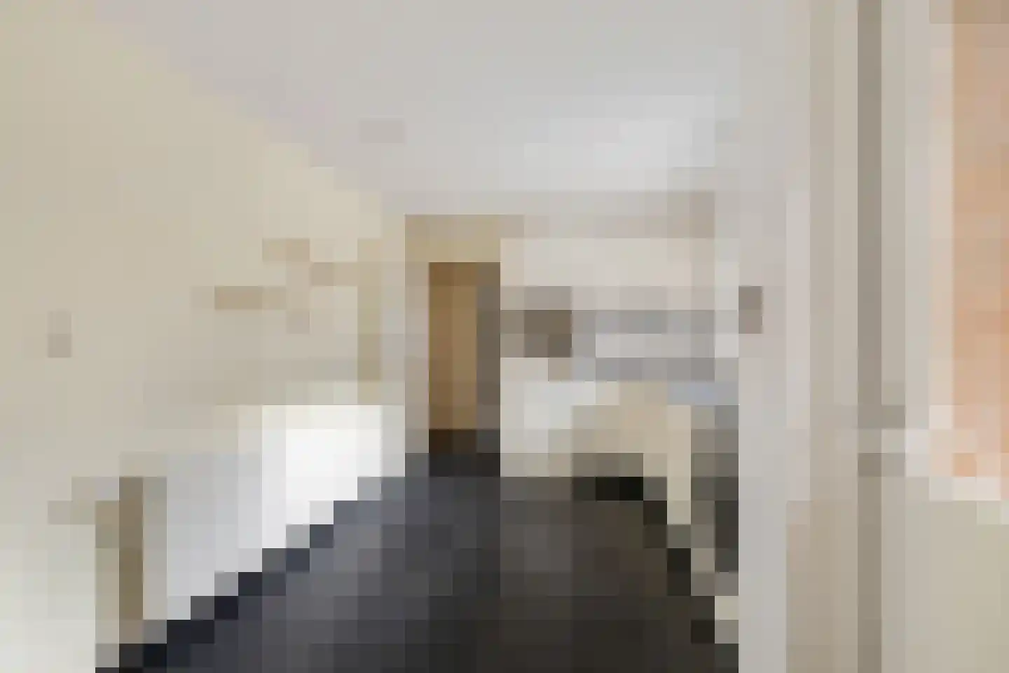 Molenweg 35 Nieuwehorne thumbnail 9