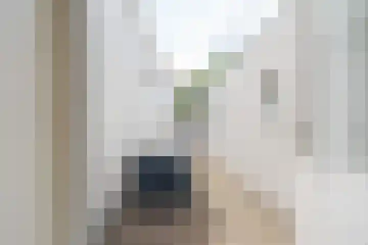 Molenweg 36 Zwolle thumbnail 10