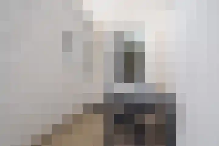 Molenweg 36 Zwolle thumbnail 27