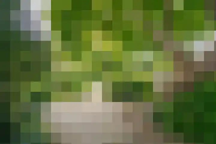 Molenweg 36 Zwolle thumbnail 32
