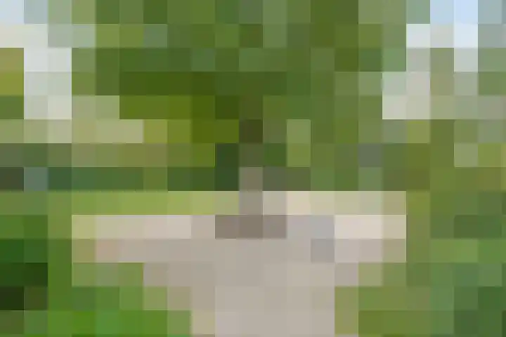 Molenweg 36 Zwolle thumbnail 33