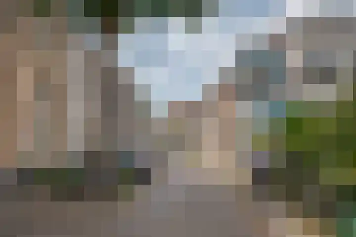 Molenweg 36 Zwolle thumbnail 35