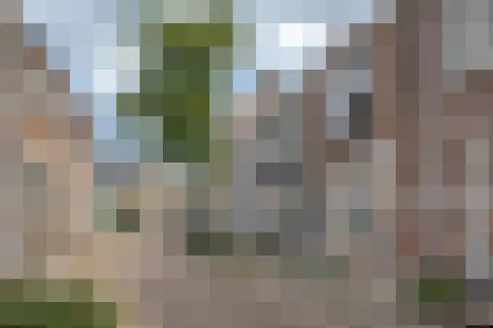 Molenweg 36 Zwolle thumbnail 4