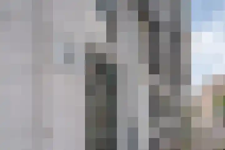 Molenweg 36 Zwolle thumbnail 5
