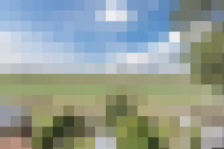 Molenweg 37 a Wieringerwaard thumbnail 48