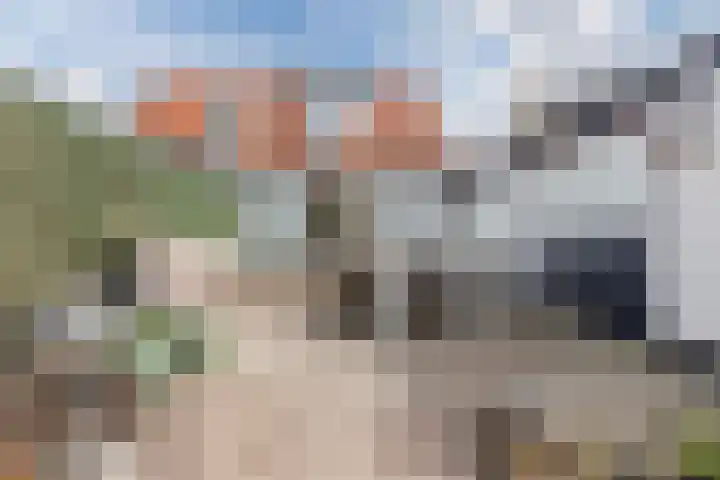 Molenweg 37 a Wieringerwaard thumbnail 51