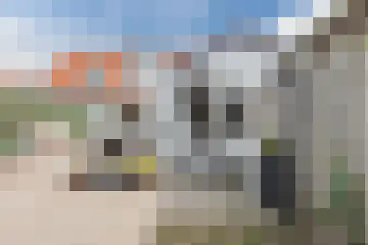 Molenweg 37 a Wieringerwaard thumbnail 52
