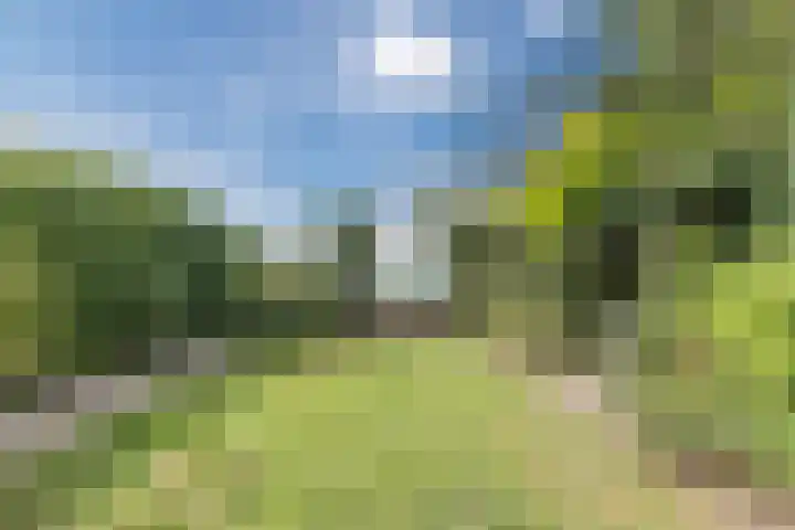 Molenweg 37 a Wieringerwaard thumbnail 63